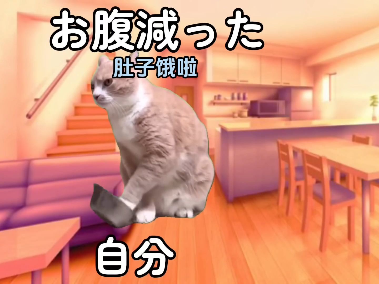 【熟/猫meme】爸爸上班的公司破产时的故事(1)哔哩哔哩bilibili