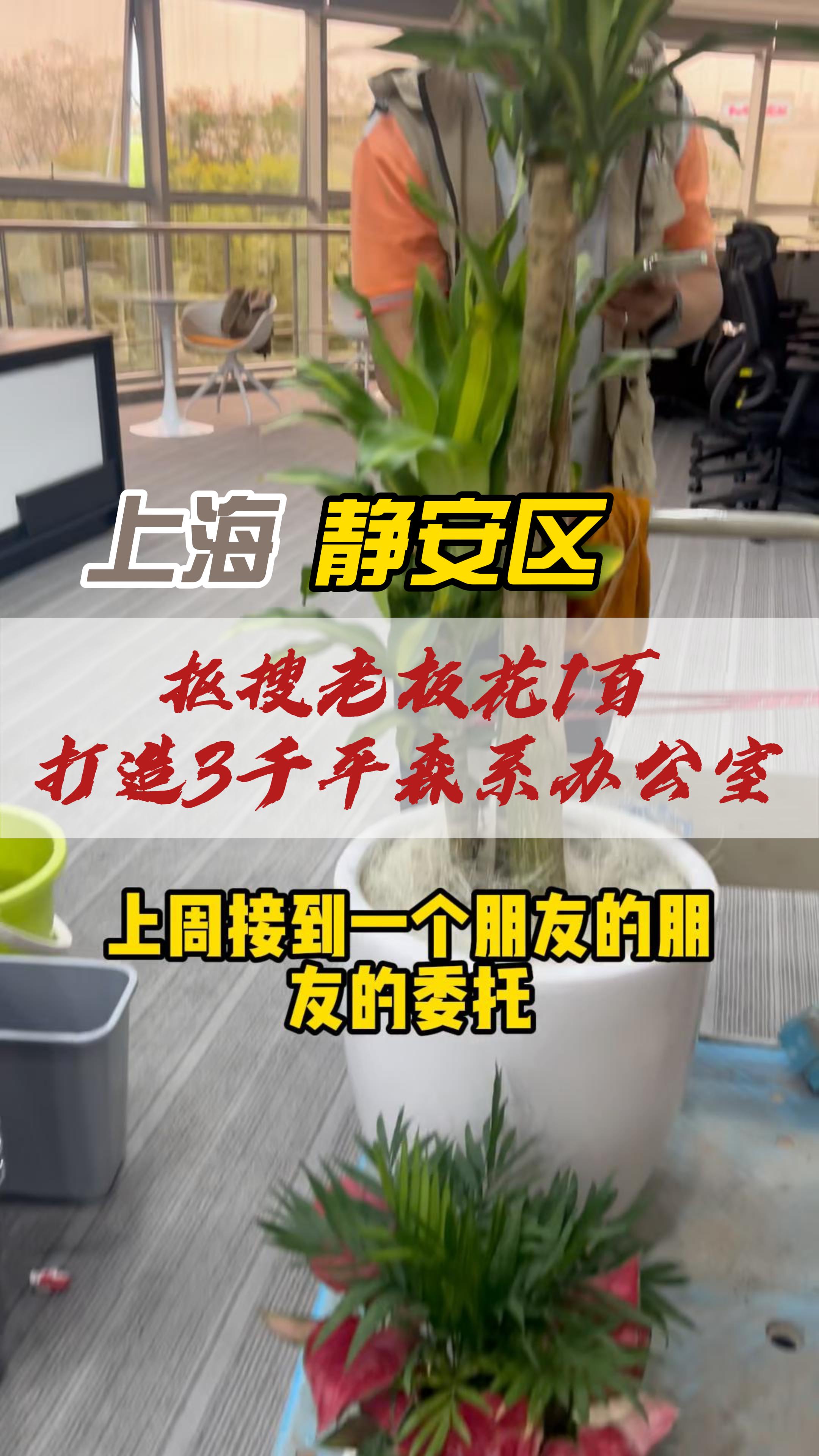 花一百就能打造3千森系办公室?哔哩哔哩bilibili