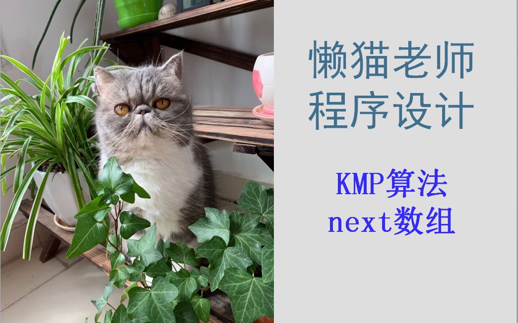 懒猫老师数据结构(15)KMP算法2next数组(模式匹配,字符串匹配)哔哩哔哩bilibili