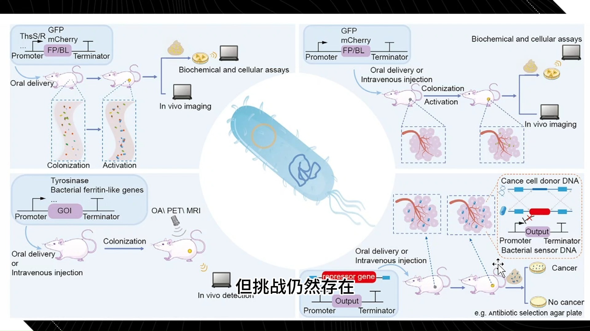 合成生物学=合成生物学创新赛