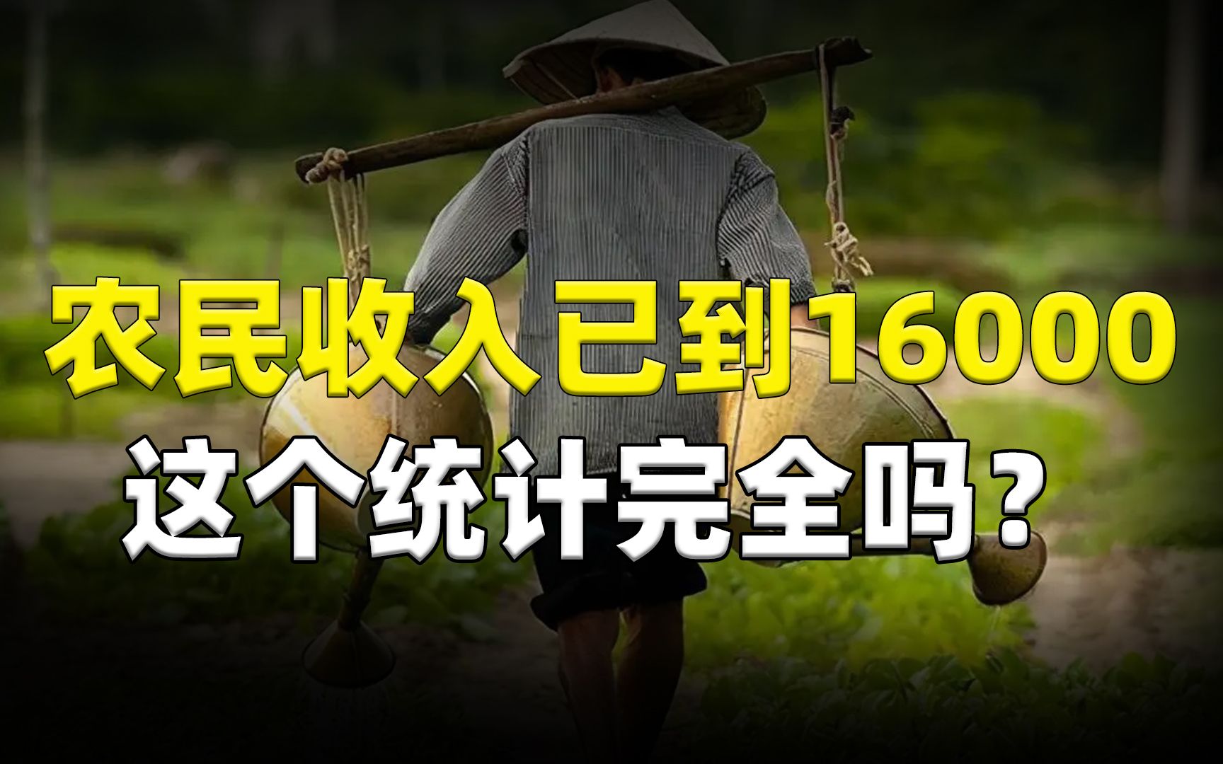 专家:农民纯收入已到16000!农民伯伯:你这个统计完全吗?哔哩哔哩bilibili