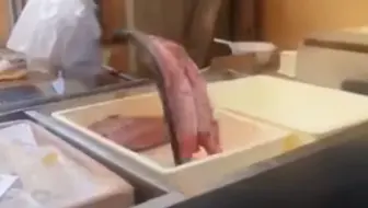 不 灭 的 安 黛 因