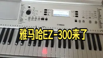 Descargar video: 雅马哈EZ-300  ，全新，无瑕疵，61键，力度键盘，纯白色