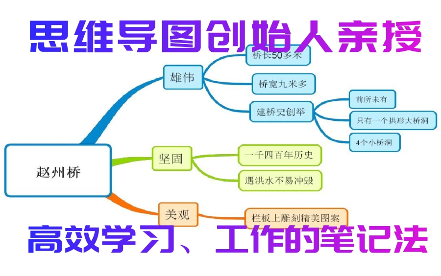 【思维导图】学生党必备高效学习工具!你有了吗?为什么学霸笔记永远做得比你好?手把手教你做好思维导图!思维导图从入门到精通,再到入土哔哩哔...