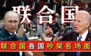 Télécharger la video: 联合国各国吵架名场面有哪些？俄罗斯代表直接动手，土耳其也不虚