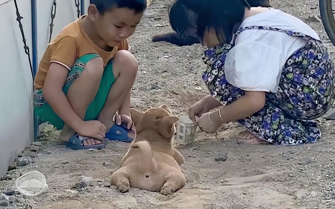 [图]“做狗嘛，开心最重要啦！”