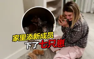 Download Video: 离别回俄罗斯奶奶不舍落泪 家里添新成员小猫下七只崽