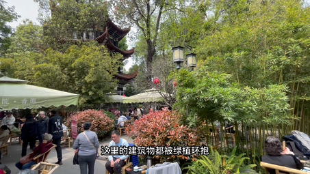 成都旅游花费多少钱哔哩哔哩bilibili