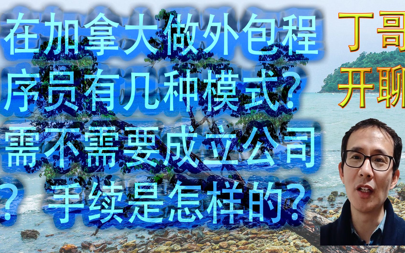 在加拿大做外包程序员有几种模式? 需不需要成立公司? 手续是怎样的?哔哩哔哩bilibili