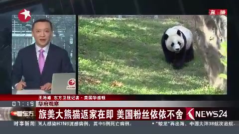 [图]旅美大熊猫宝宝要回来啦！米国粉丝依依不舍