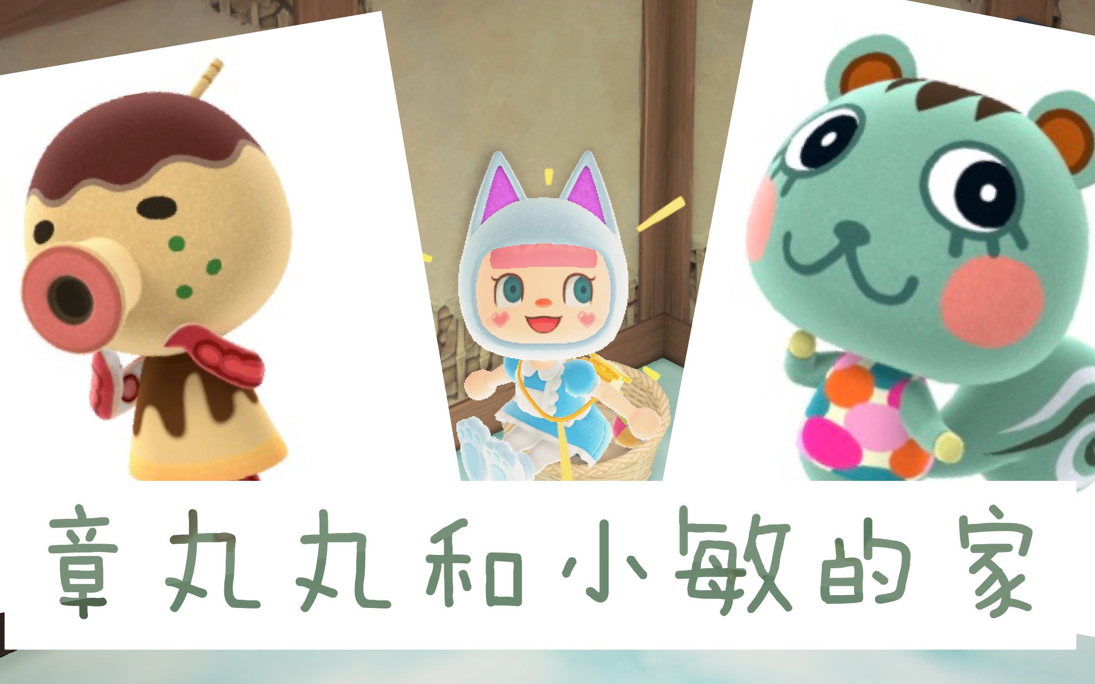 看起来很好吃系列hey带你看动森小动物的家章丸丸和小敏陆续更新