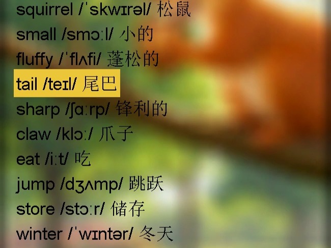 每日英语短文跟读||松鼠--squirrel