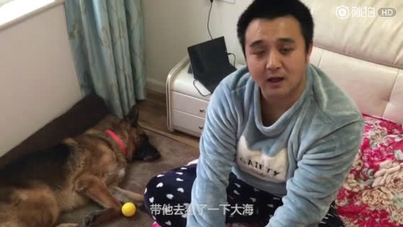 [图]消防兵带搜救犬一起退伍 陪它旅游看世界