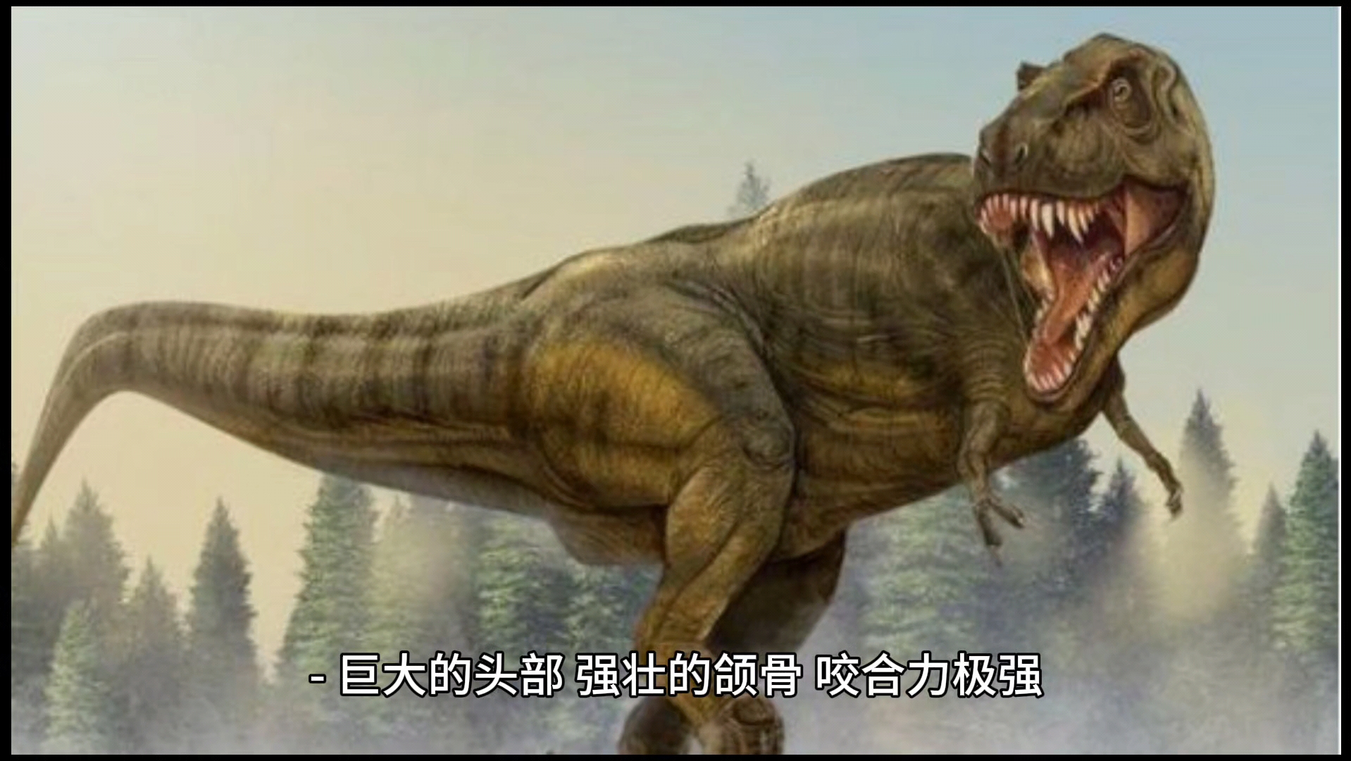 分析:霸王龙vs南方巨兽龙