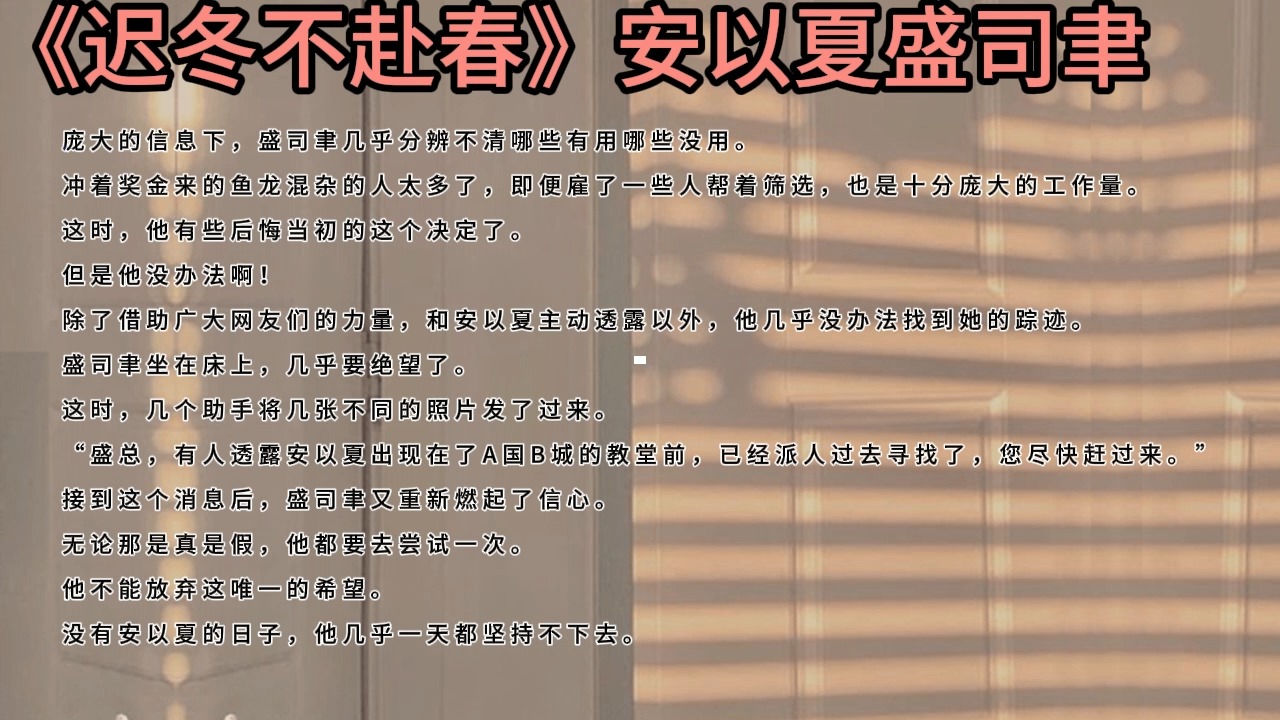 一口气读完《迟冬不赴春》安以夏盛司聿,大结局高分完整全集书荒必读爽文哔哩哔哩bilibili