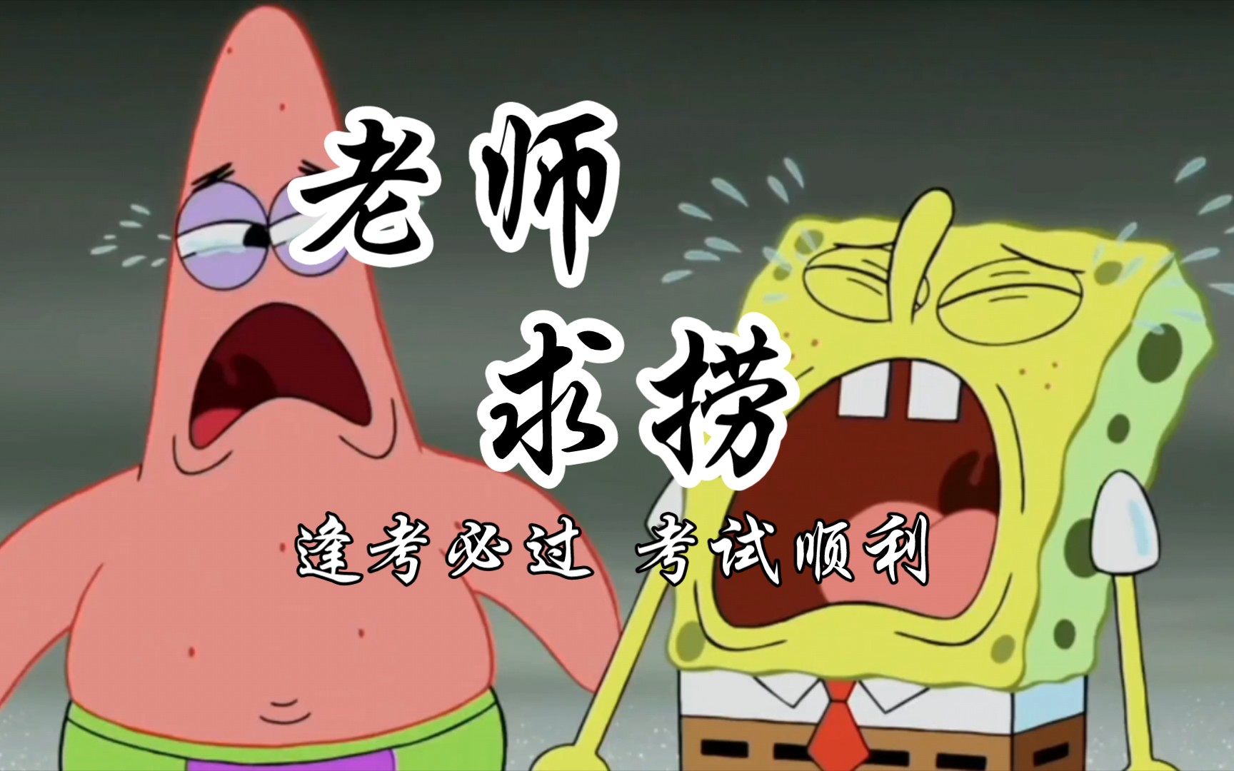 老师,请您捞我(跪下求您)