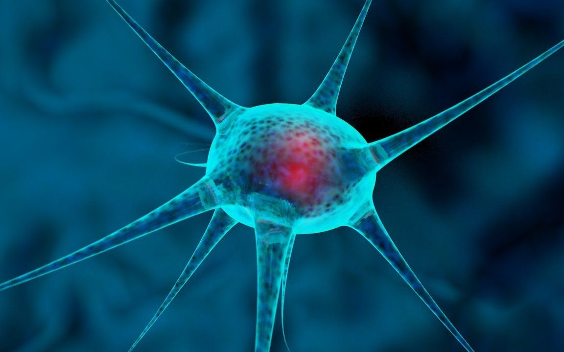 油管c4d实例脑细胞模型克隆矩阵挤压