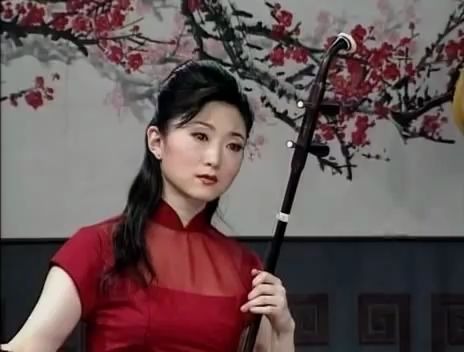 「精彩国乐」洪湖主题随想曲 Erhu(二胡) Yu Hong Mei 于红梅哔哩哔哩bilibili