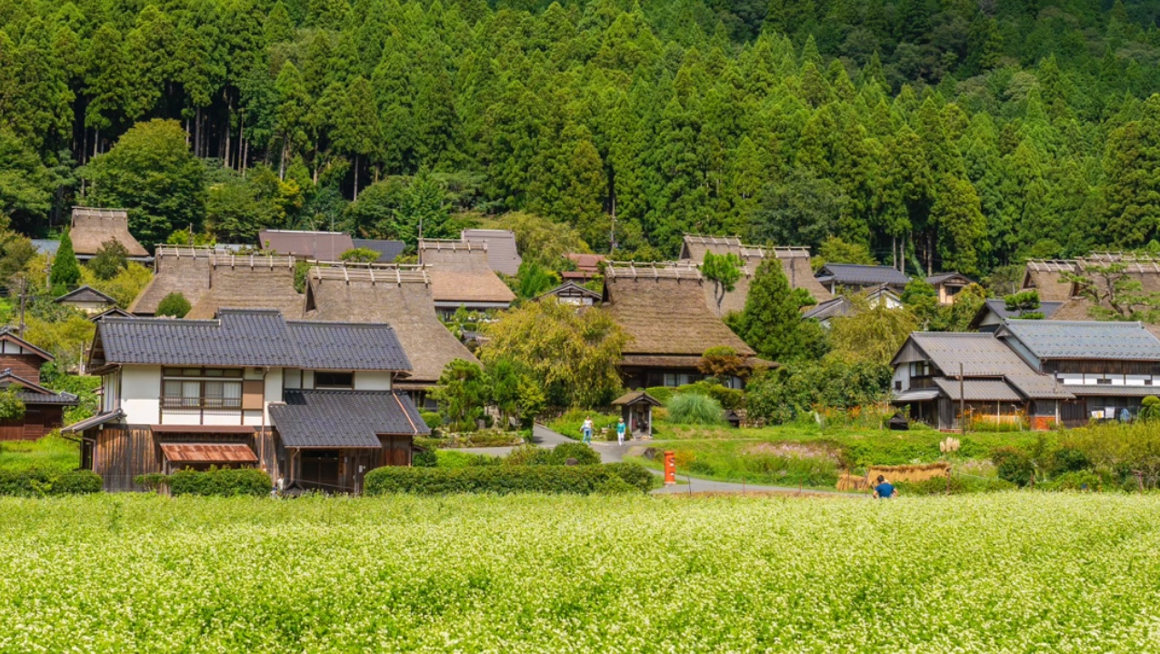 日本乡下的生活|美山町|4k|sony a7m4