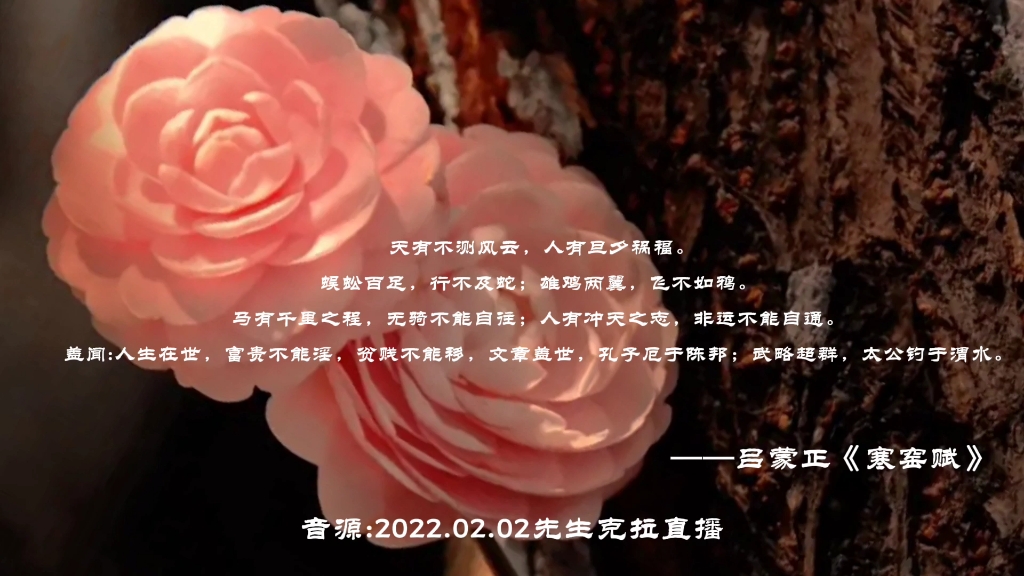 陈想先生寒窑赋