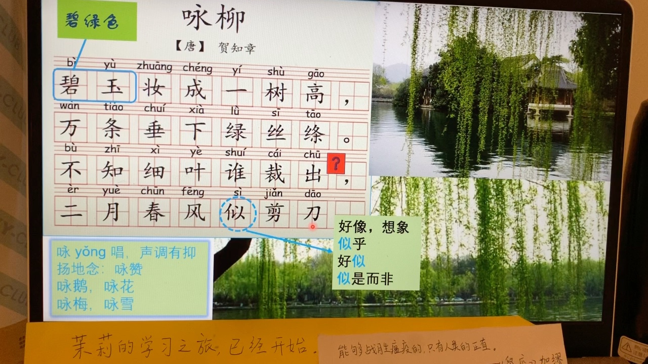 [图]「学古诗」《咏柳》贺知章 【茉莉的学习之旅（1年级）已经开始…】