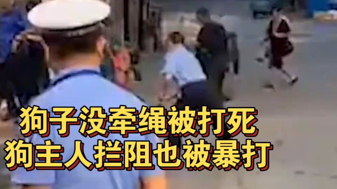 狗子没牵绳被打死，狗主人拦阻也被暴打，打狗队：按规定办事 。