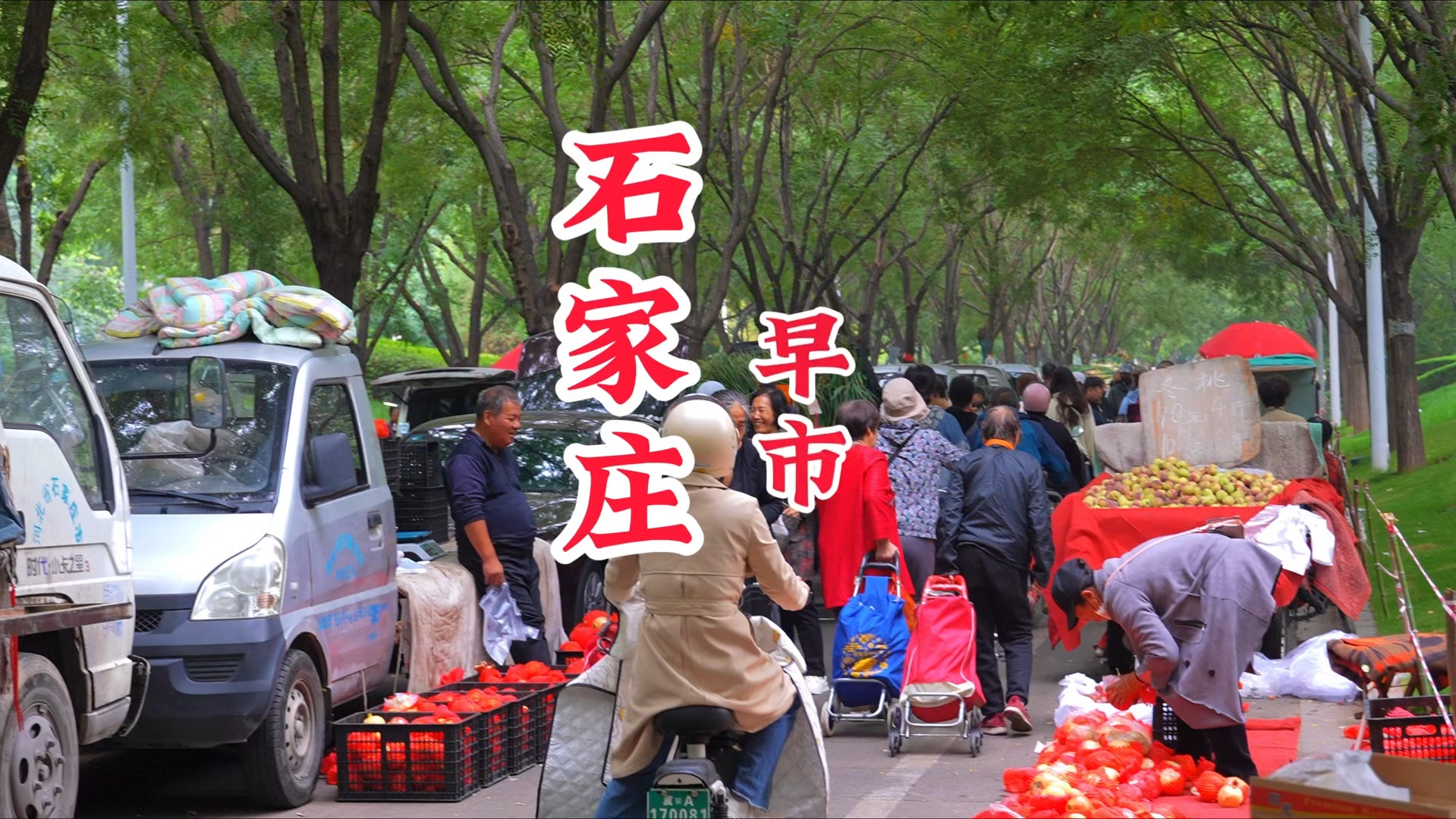 石家庄市区又发现一个大型早市,人真的特别多!哔哩哔哩bilibili