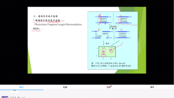 遗传学4哔哩哔哩bilibili