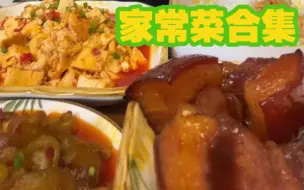 Download Video: 【有求必应之家常菜】麻婆豆腐，藕丸，油面筋塞肉，酱焖茄子，葱爆羊肉，凉拌粉丝，梅菜扣肉，蚝油生菜，酸菜炒粉，酸萝卜炒粉，烤鸭，五花肉炖粉条，韭菜饼，凉拌茄子黄瓜