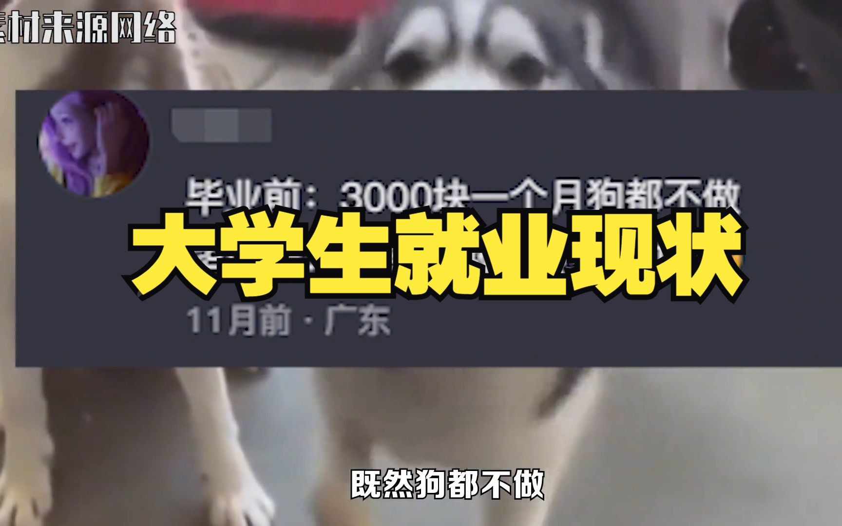 [图]【大学生就业现状】毕业前：3千狗都不干！毕业后：三千狗不干我干！