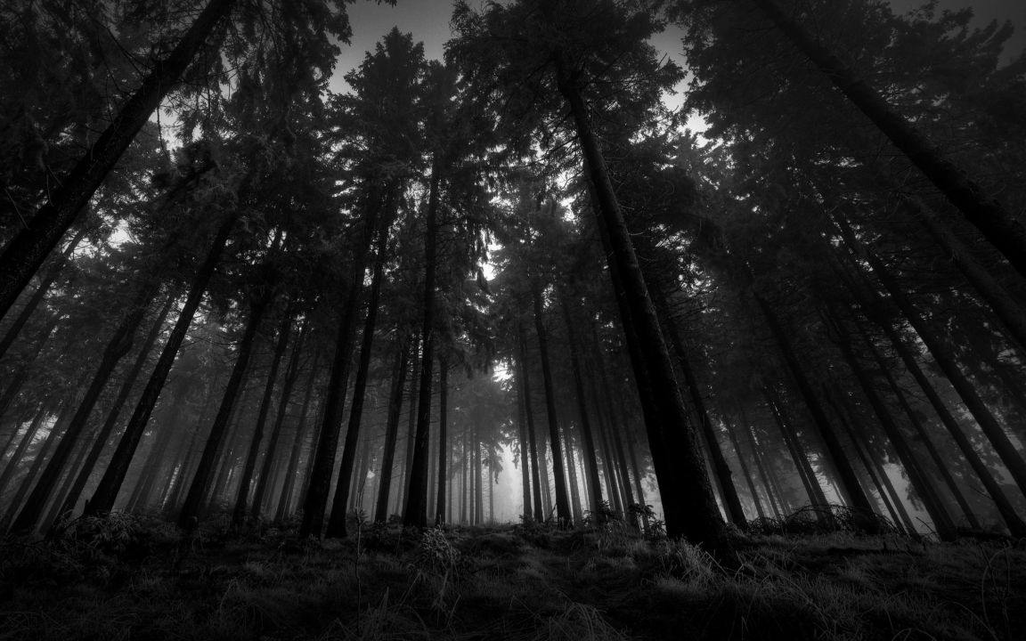 黑森林终于pass啦