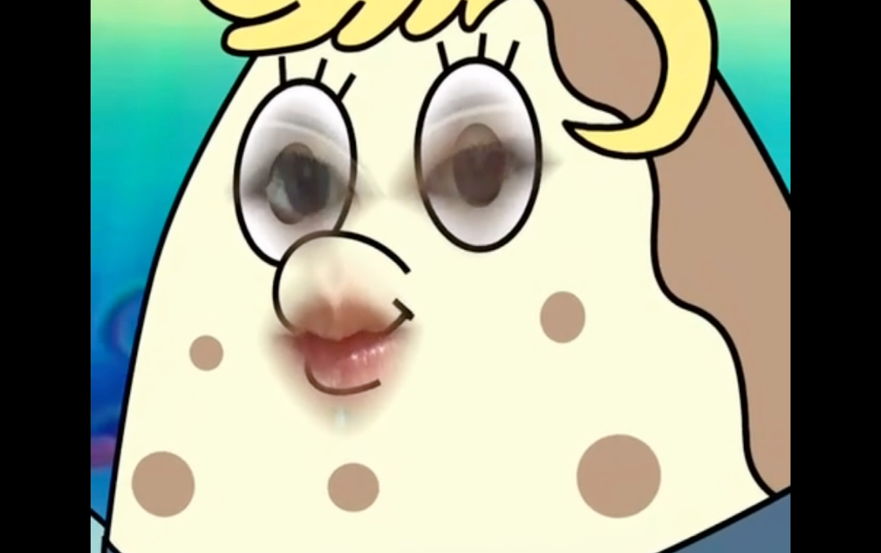 陪泡芙老师度过漫长岁月