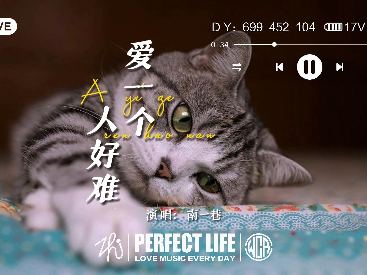 爱一个人好难