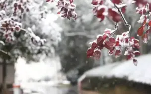 Download Video: 羌管悠悠，漫天飞雪，感觉像穿越了