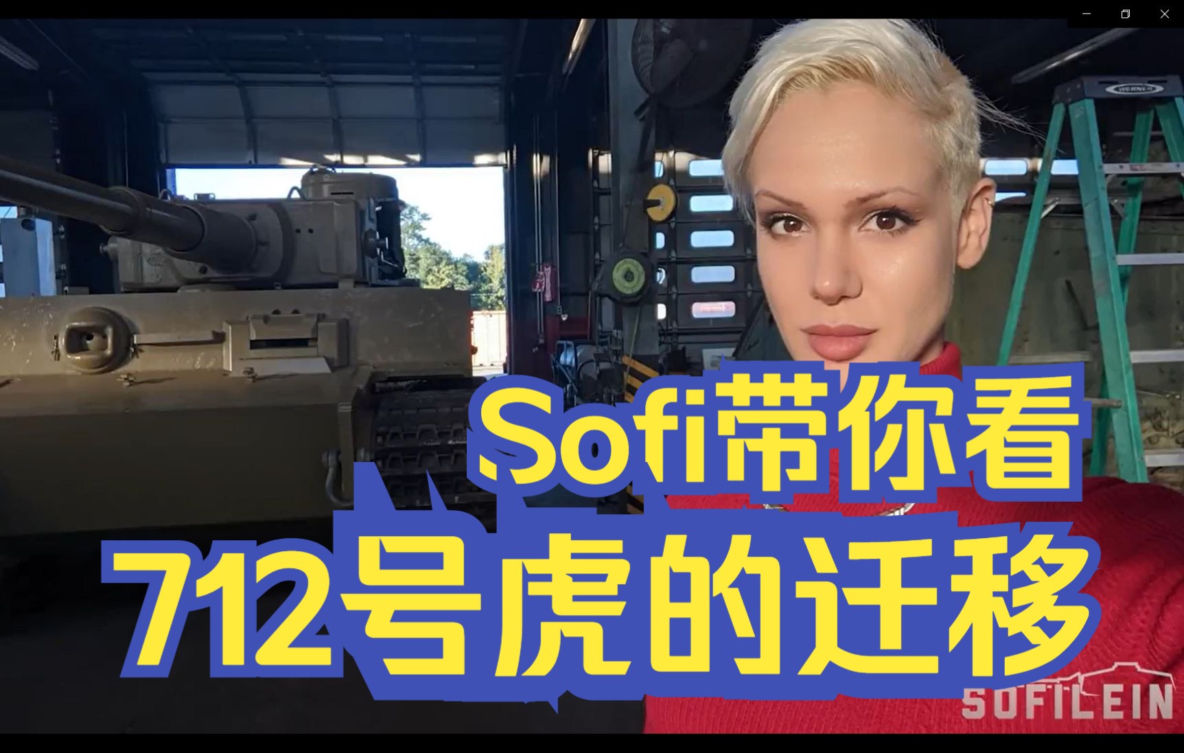 【双语字幕】Sofi带你看712号虎的迁移哔哩哔哩bilibili