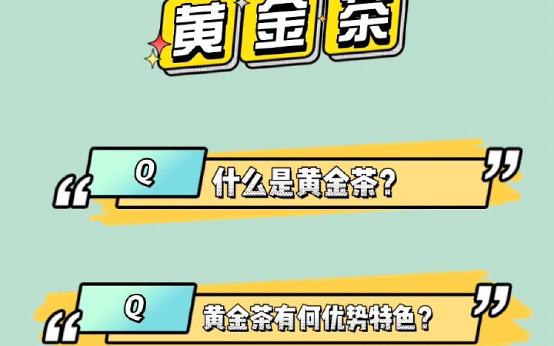 什么是黄金茶?有什么特别优势?哔哩哔哩bilibili