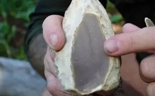 Download Video: 测试并找到燧石【原始技术】Test and Find Flintknapping Stone