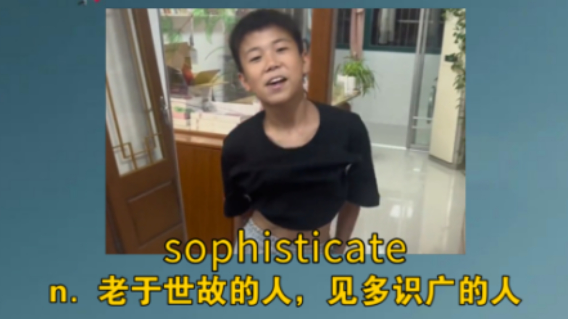 《养个刘星啊你这是?》 sophisticate:n. 老于世故的人,见多识广的人哔哩哔哩bilibili