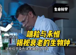 端粒与永恒：揭秘衰老的生物钟