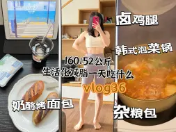 Download Video: 第36集 在我小小的世界里做我想做的事情/ 烤面包配奶酪/韩式泡菜锅/卤鸡腿/杂粮包/卢师傅月饼