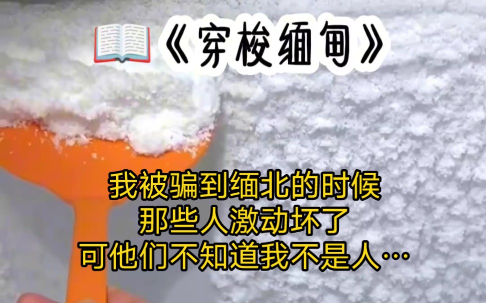 [图]《穿梭缅甸》我被骗到缅北的时候，那些人激动坏了，可他们不知道我不是人…