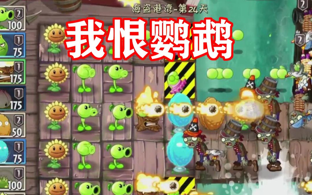 植物大战僵尸2鹦鹉为什么是你