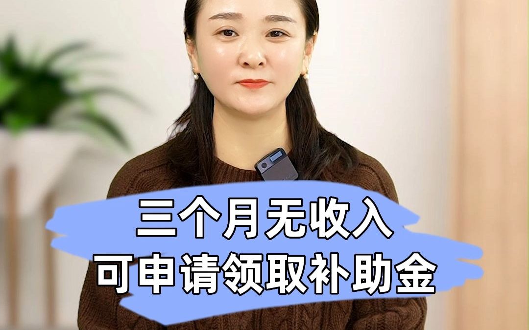 三个月无收入的特定人群可以申领补助金哔哩哔哩bilibili