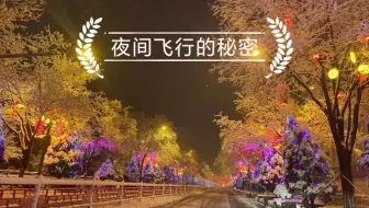 四年级语文上册第二单元第二课 06 夜间飞行的秘密 哔哩哔哩 Bilibili