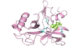 17.1 分子对接可视化1（PyMol软件）