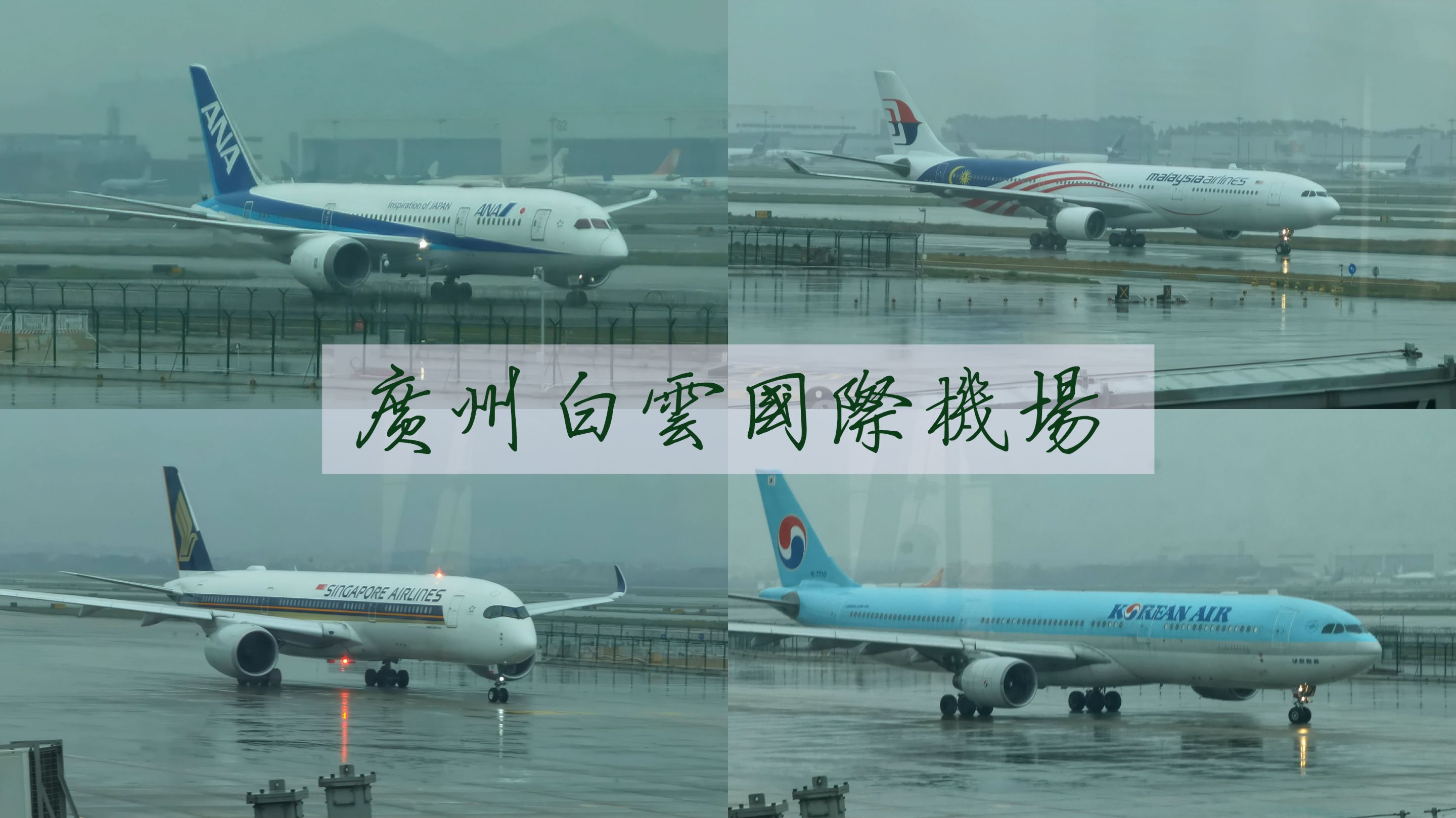 【白云拍机】马航a330降落繁忙机场|东航skyteam涂装