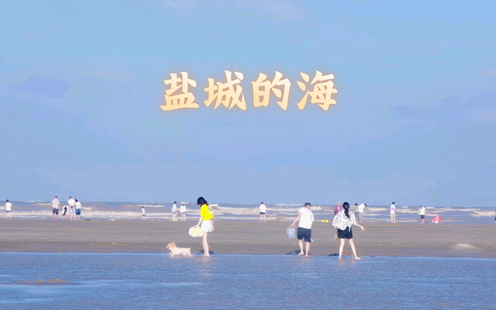 盐城的海,你们见过吗?哔哩哔哩bilibili