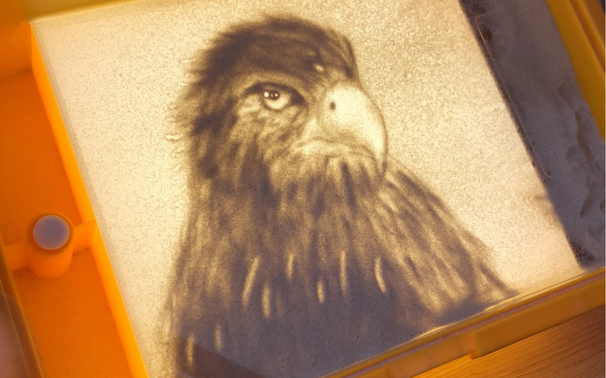 沙画教学|开了十倍速的老鹰教程