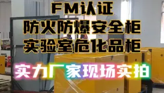 FM认证防火防爆安全柜，实验室危化品存放柜，化学品储存柜，易燃液体安全储存柜，实力厂家现场实拍#防爆柜厂家 #危化品柜  #现场实拍 #实验室设备