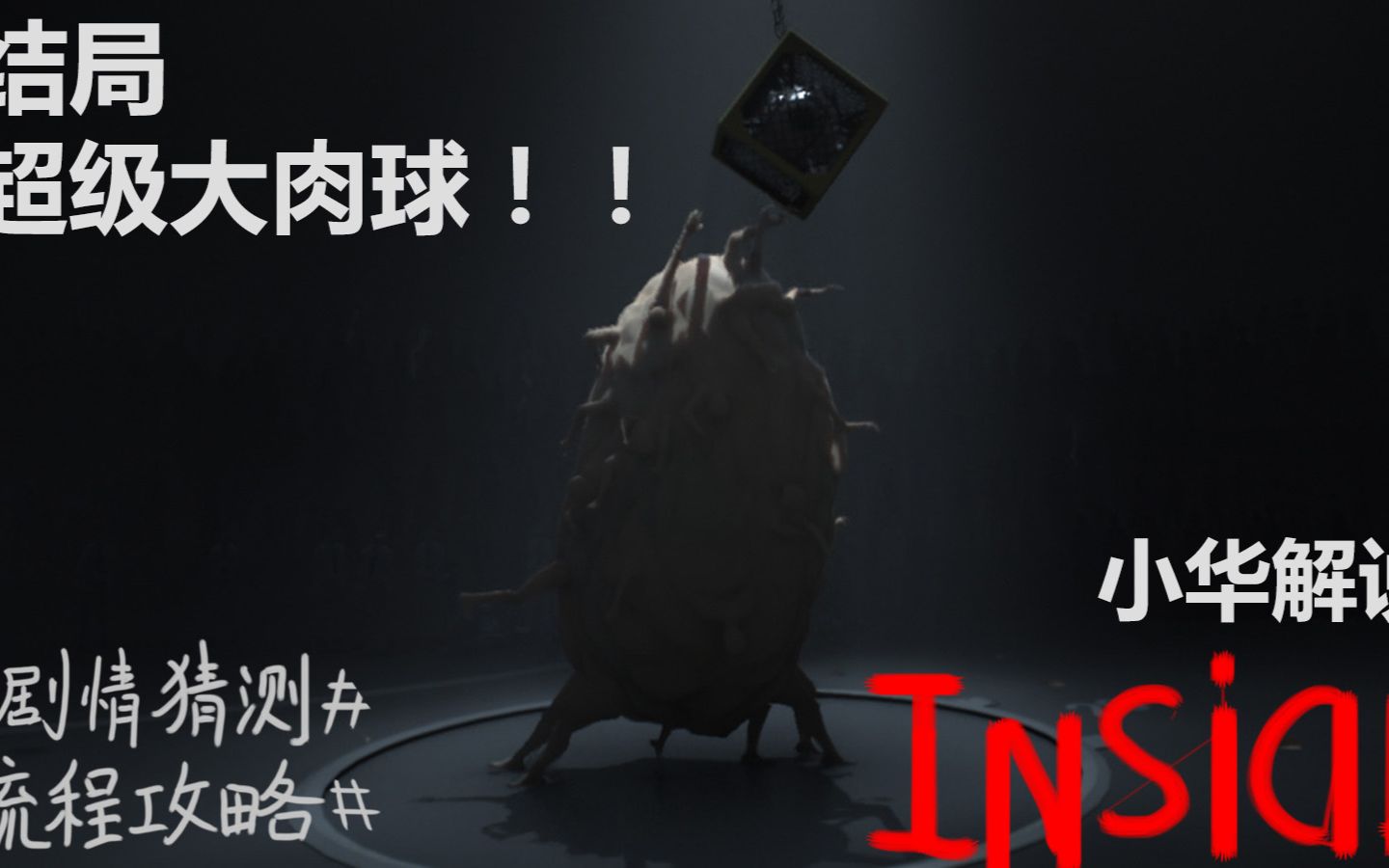 inside肉球图片